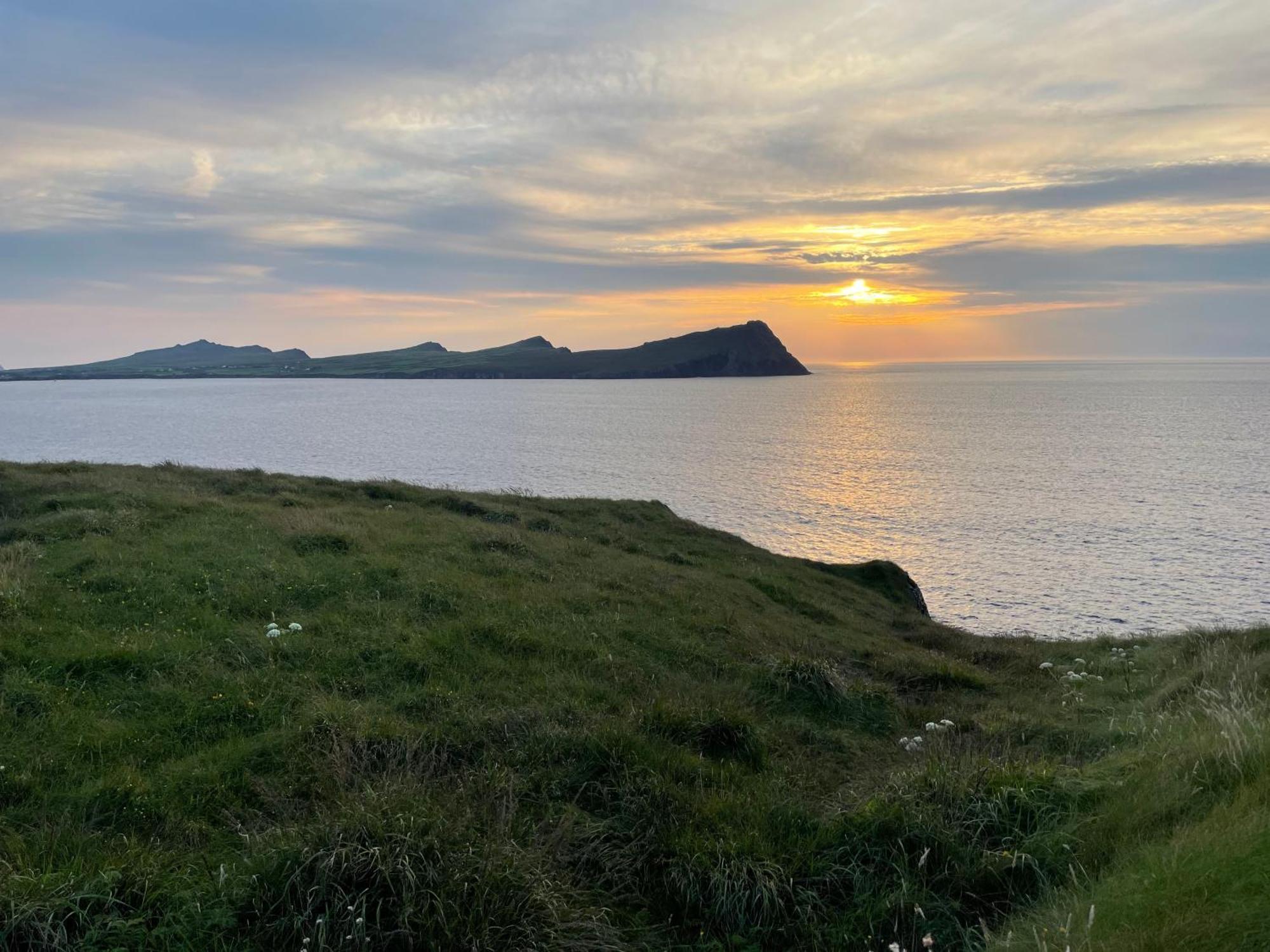 Murphy'S Guesthouse Dingle Eksteriør bilde